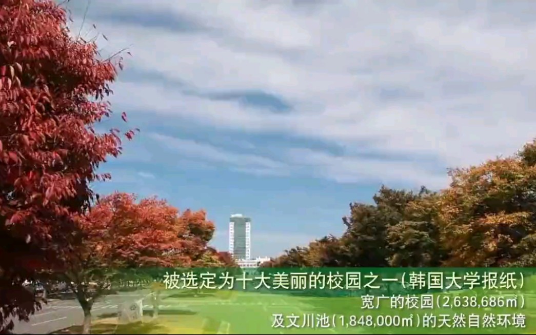 韩国大邱大学哔哩哔哩bilibili