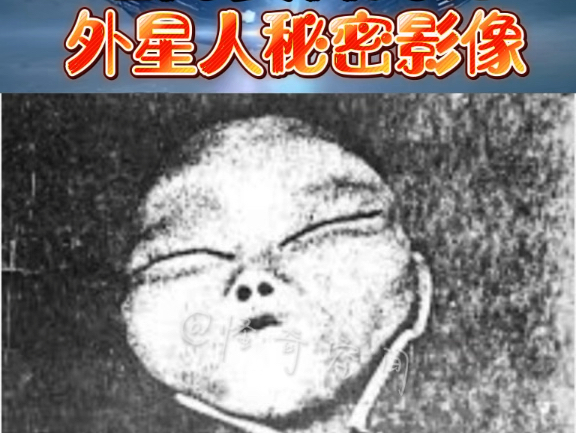 暗网流出的秘密外星人资料