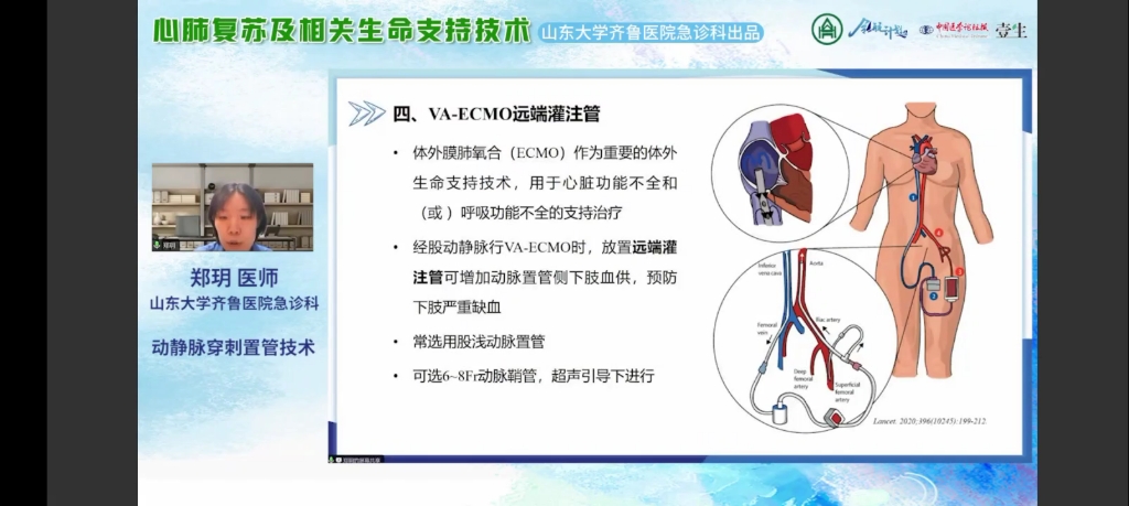 急诊技能动静脉穿刺置管术哔哩哔哩bilibili