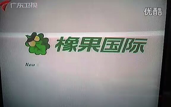 广东卫视广告2011图片
