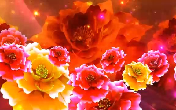 sc990 春节联欢晚会节目 歌舞表演 舞台背景视频 36款唯美花海鲜花