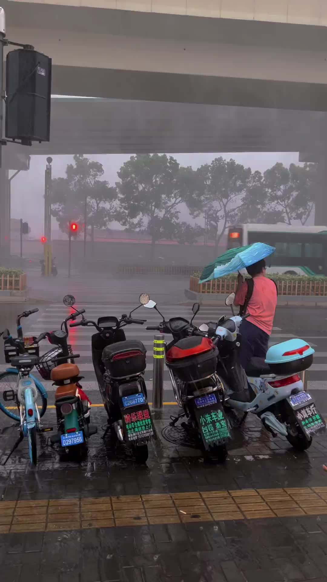 瓢盆大雨图片