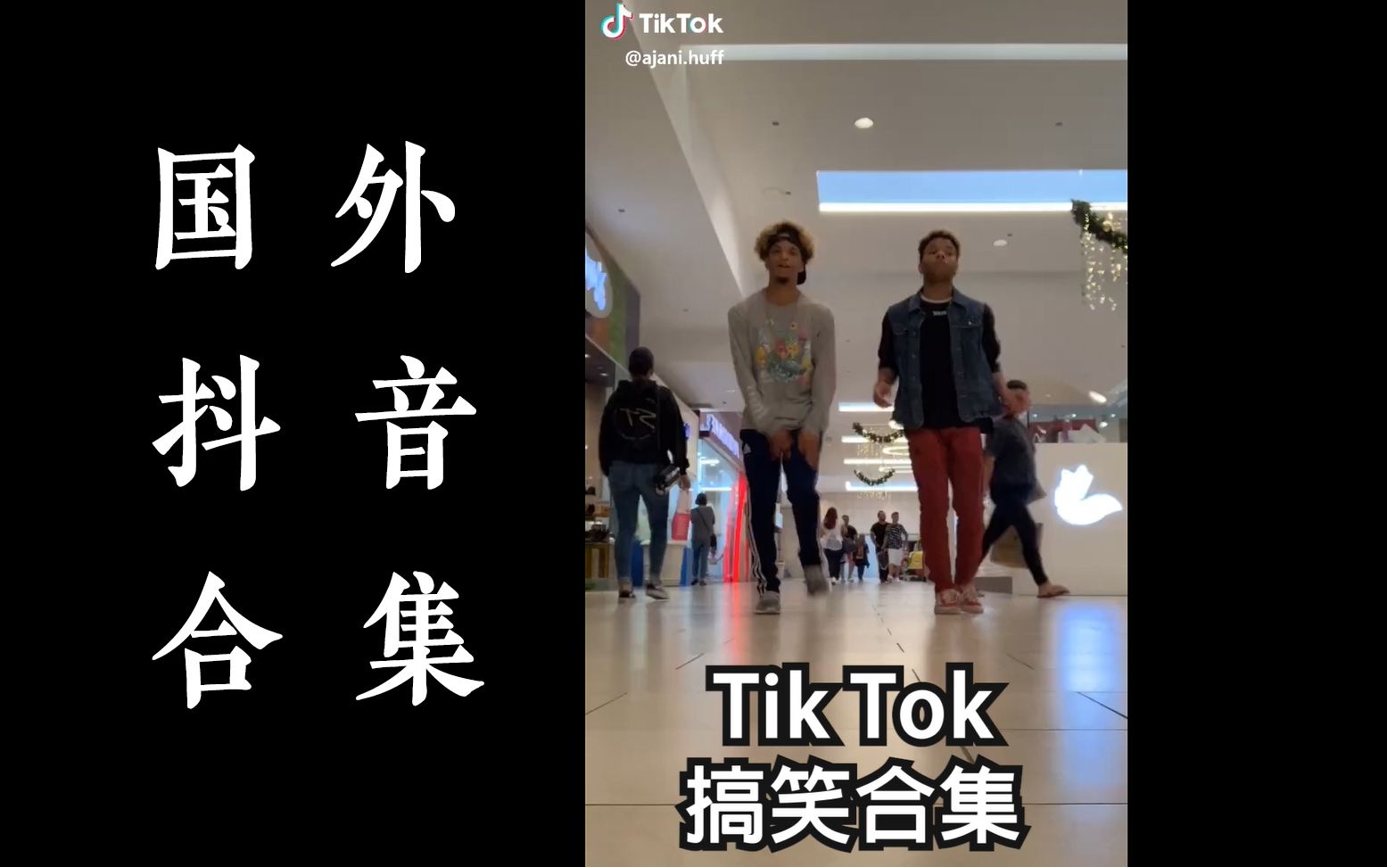 【合集】国外抖音Tik Tok沙雕合集,都给我进来治智障!哔哩哔哩bilibili