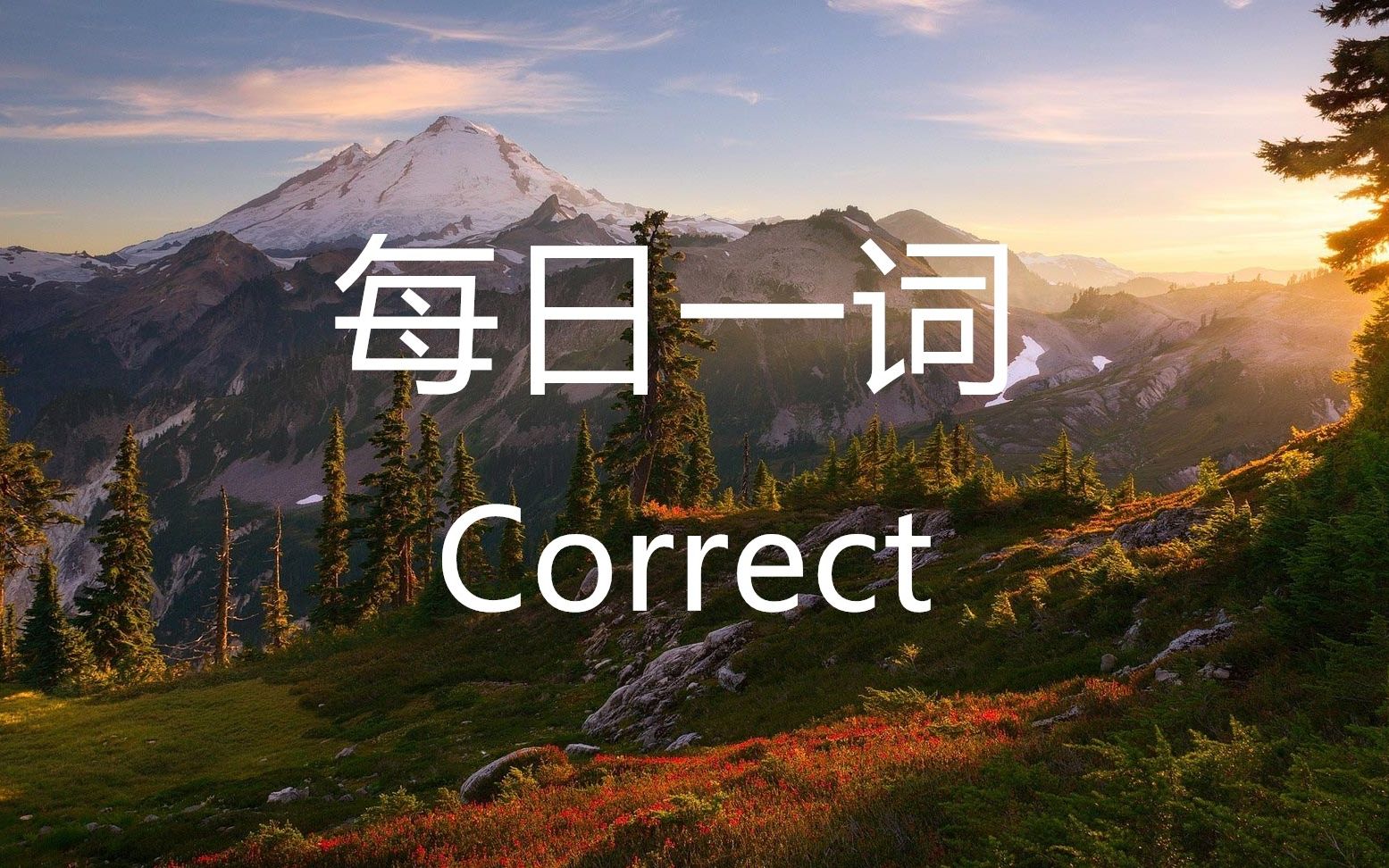 每日一词 Correct哔哩哔哩bilibili