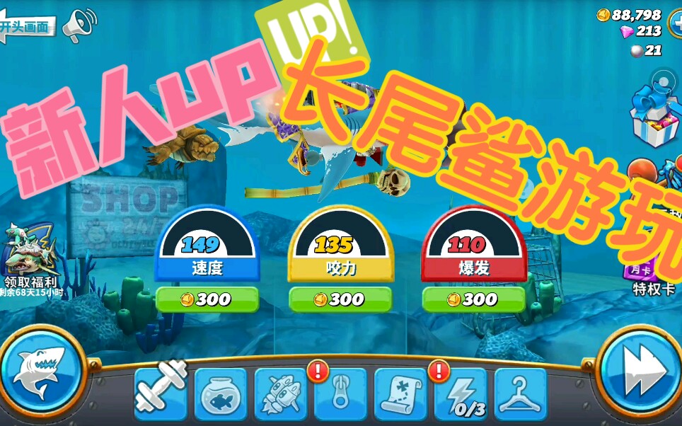 饥饿鲨世界74长尾鲨