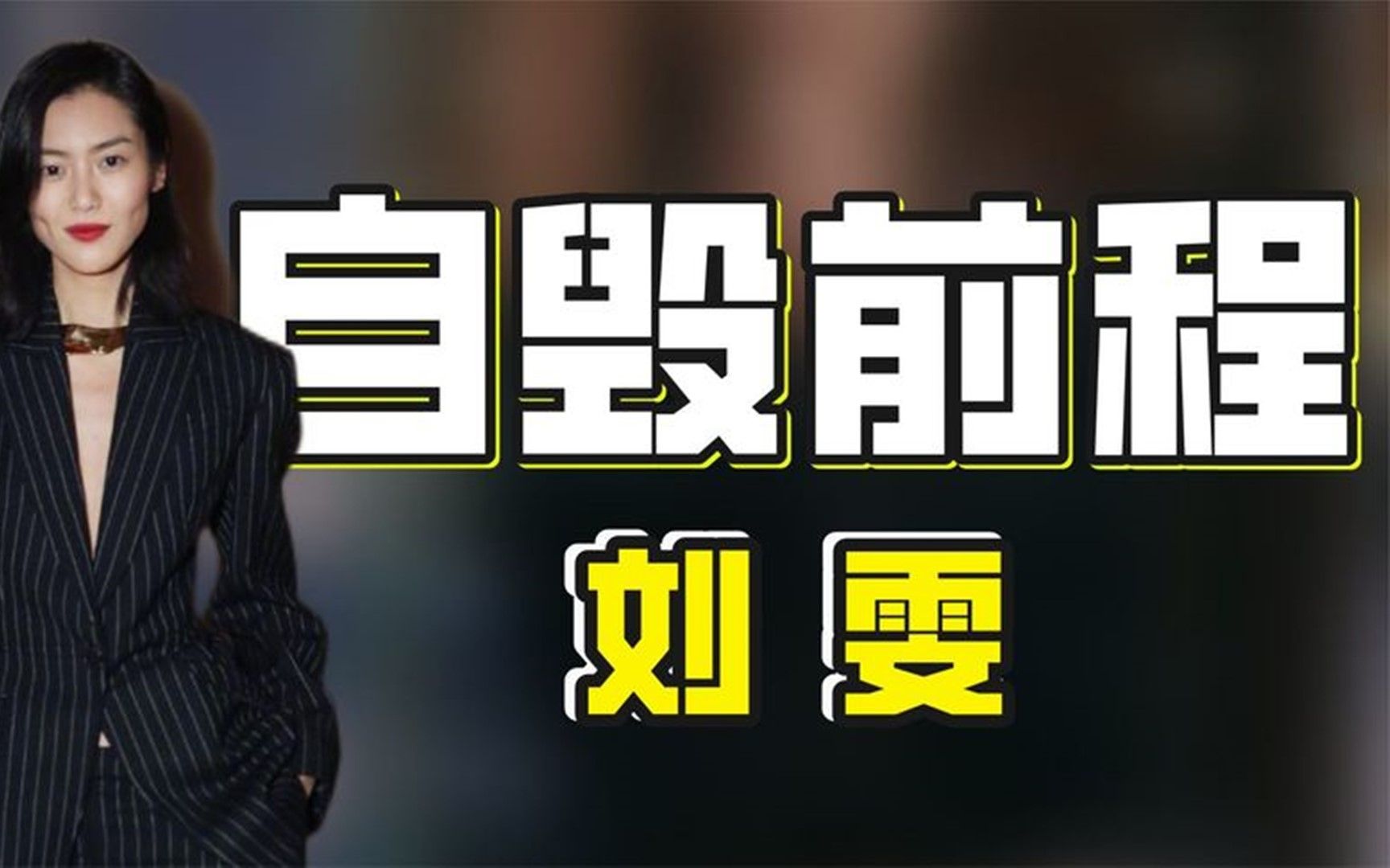 “国模之光”刘雯:1步70万坐拥上亿资产,为何自砸饭碗赔付1.6亿哔哩哔哩bilibili