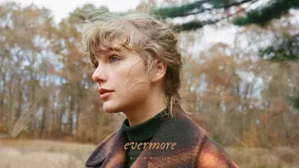 Download Video: 【小提琴】evermore - taylor swift