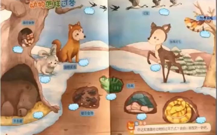 [图]幼师必备公开课_幼儿园公开课大班科学《冬天里的动物》完整版视频 幼师必备 幼儿园教案 幼儿园公开课