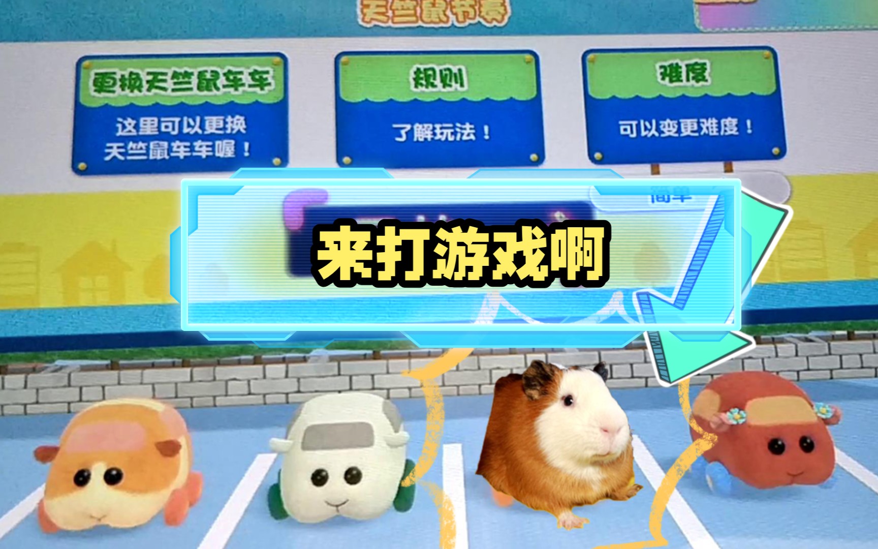 和小猪崽一起 天 竺 鼠 车 车 | 【荷兰猪】ns游戏被我玩废了哔哩哔哩bilibili