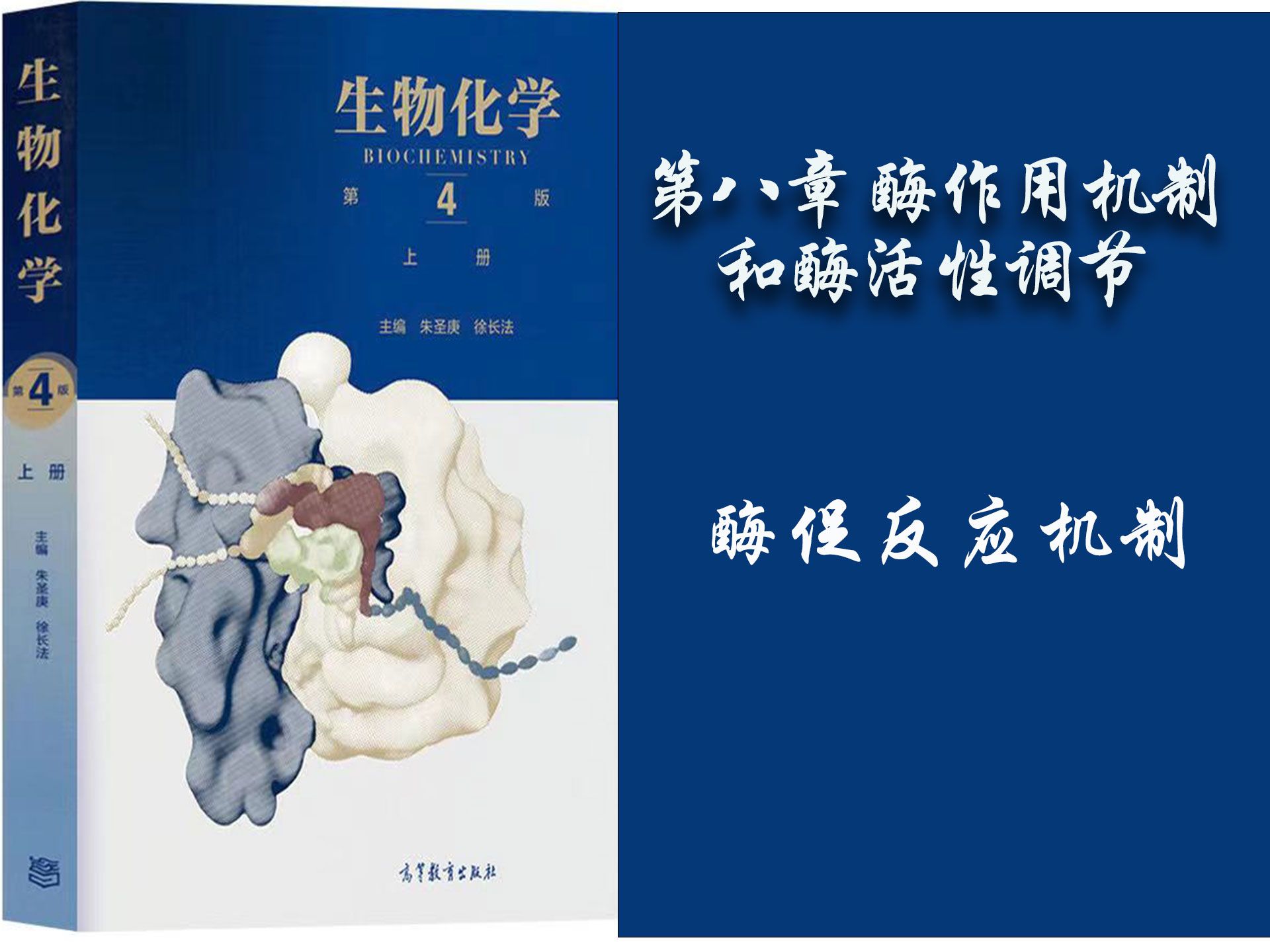 63.生物化学  第八章— 酶促反应机制哔哩哔哩bilibili