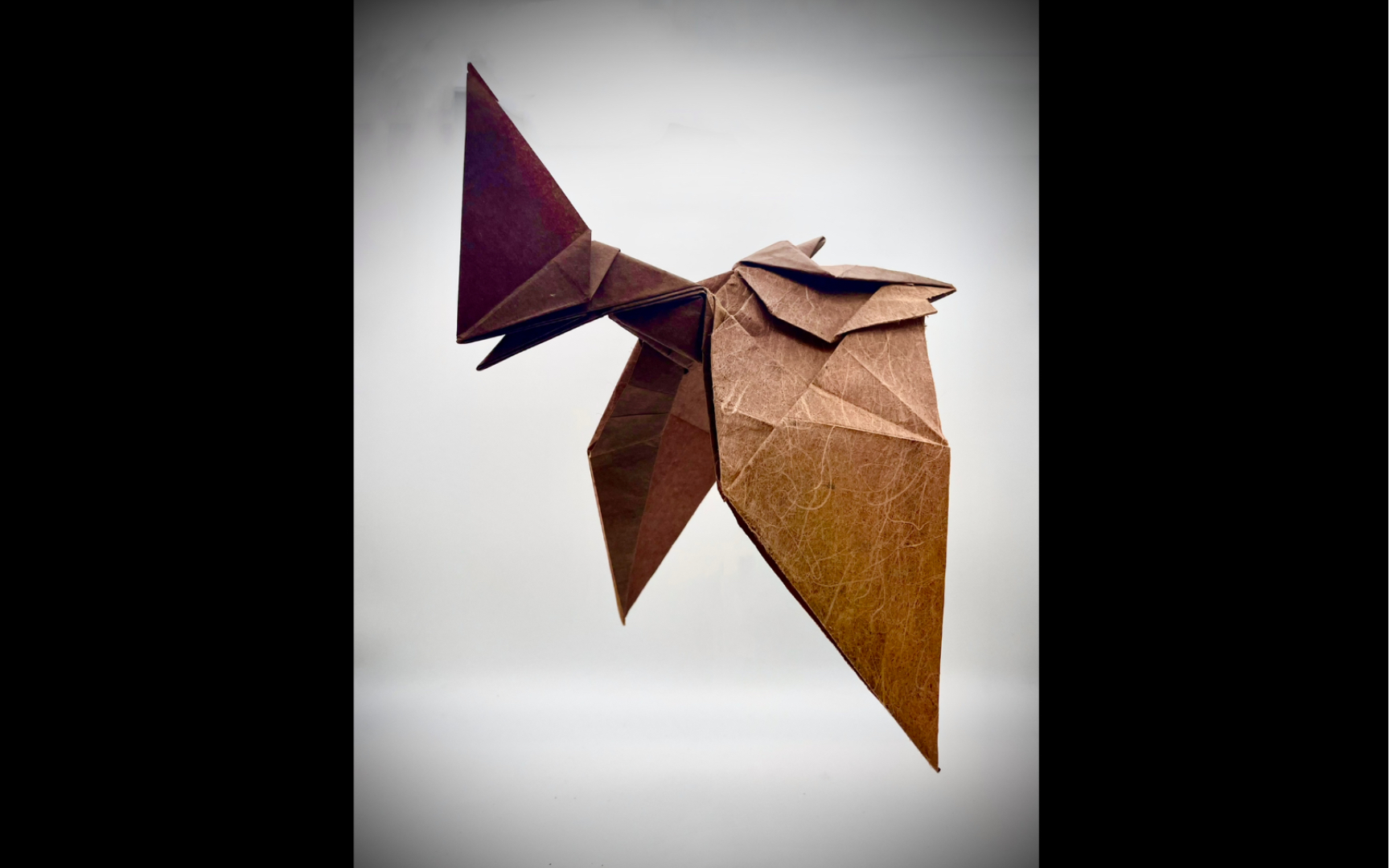 【折纸】古神翼龙,简单还好看的一个翼龙设计_哔哩哔哩_bilibili