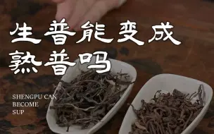 Download Video: 生普可以变成熟普吗？