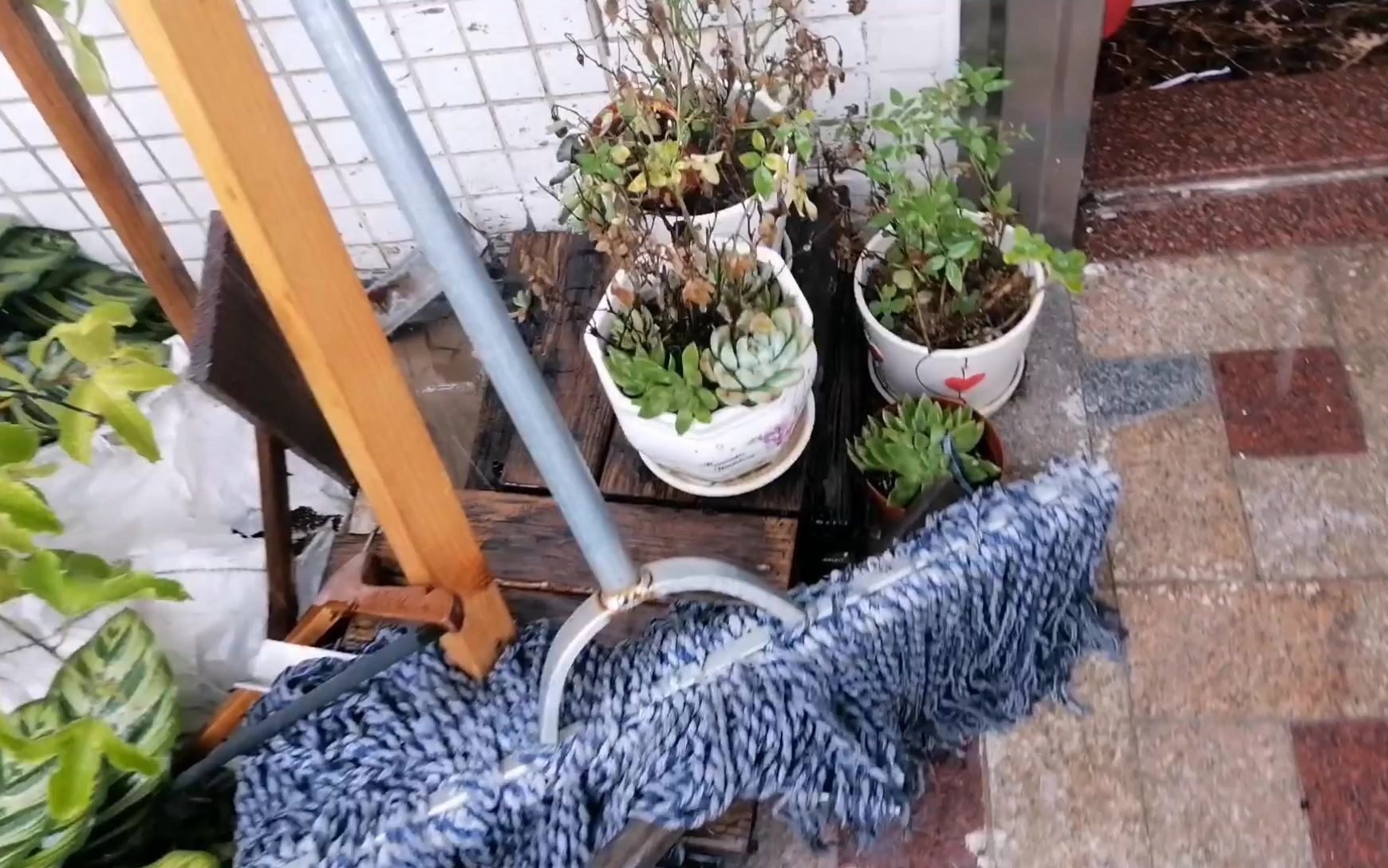 [图]大雨把我的东西淹起来了（雷州话版）