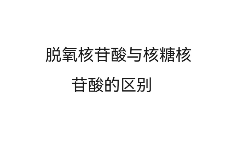 【生物必修一】脱氧核苷酸与核糖核苷酸的区别以及核苷酸连接方式哔哩哔哩bilibili