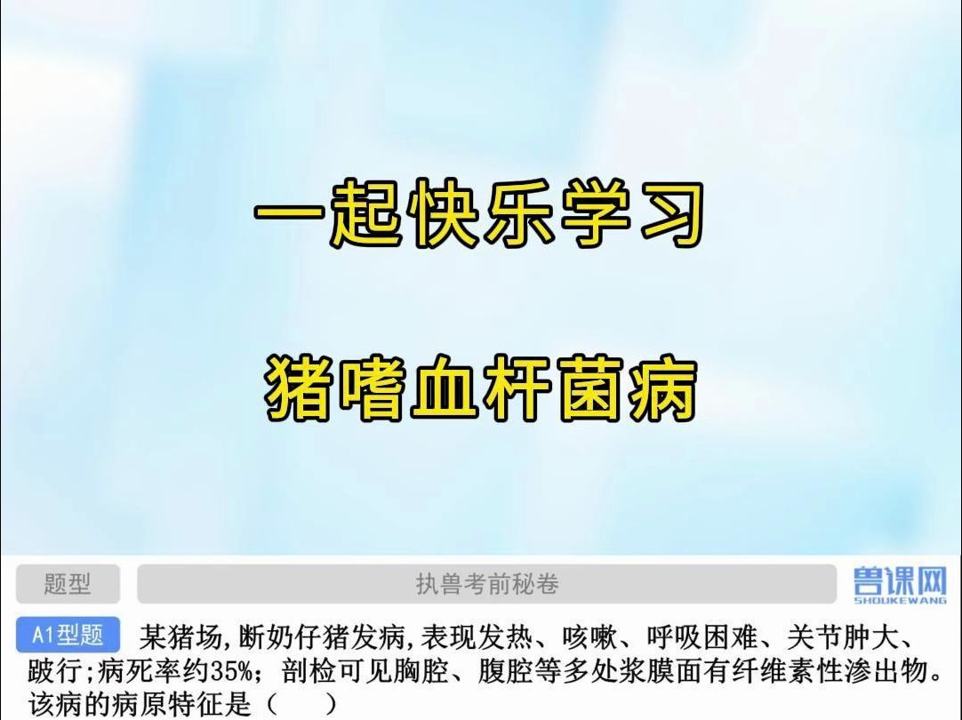 猪嗜血杆菌病都有哪些症状?快来听老师知识点详解,满满都是干货!快 @ 你的学习搭子来听课!哔哩哔哩bilibili