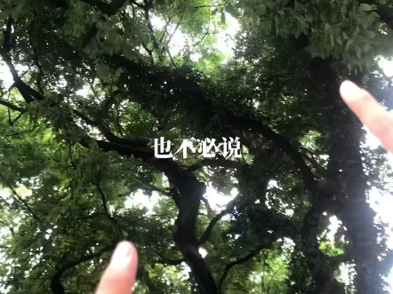 从百草园到三味书屋哔哩哔哩bilibili