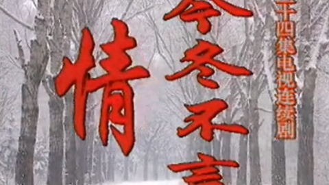 今冬不言情 B站