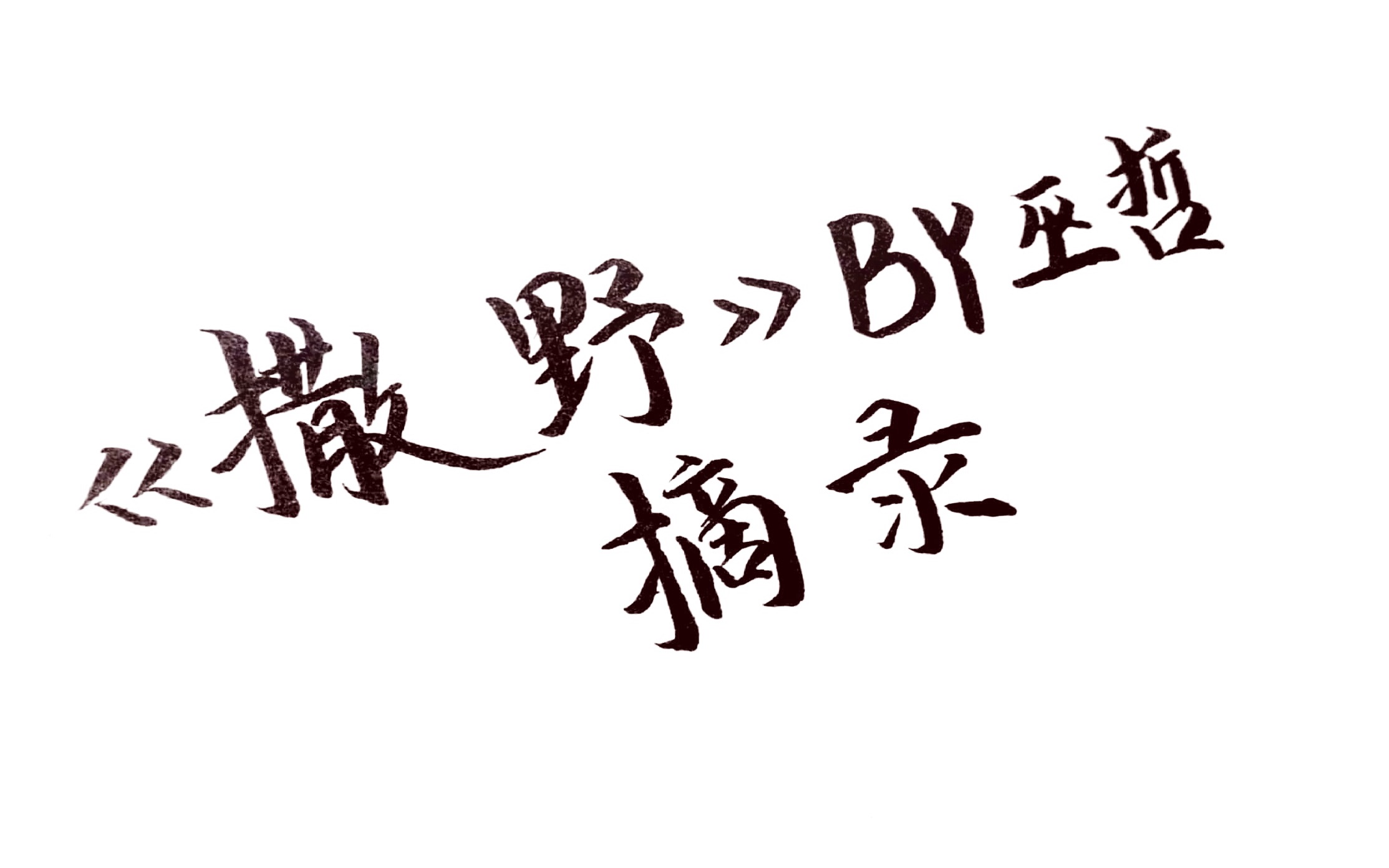 句子摘录撒野by巫哲希望我们都能像对方一样勇敢