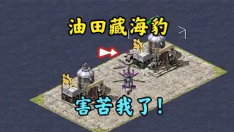 红警在新西兰激战！奔赴油田被海豹伏击！