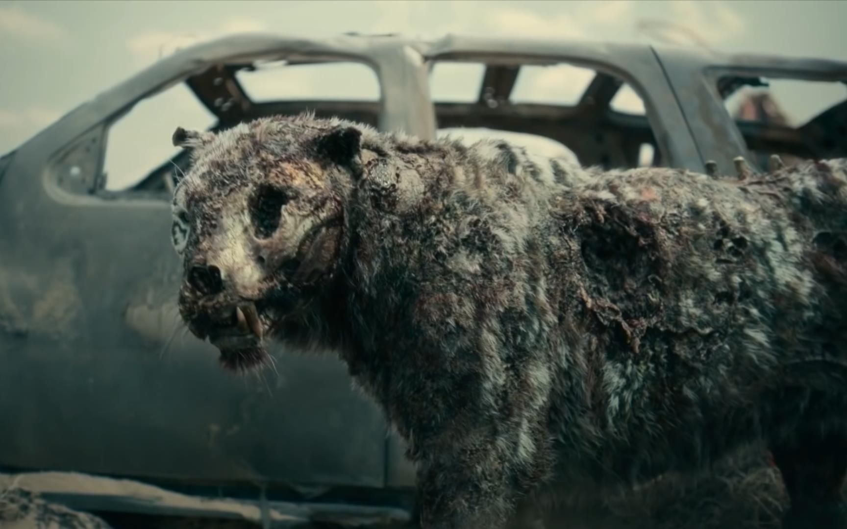 活死人军团 幕后花絮 僵尸老虎_哔哩哔哩_bilibili