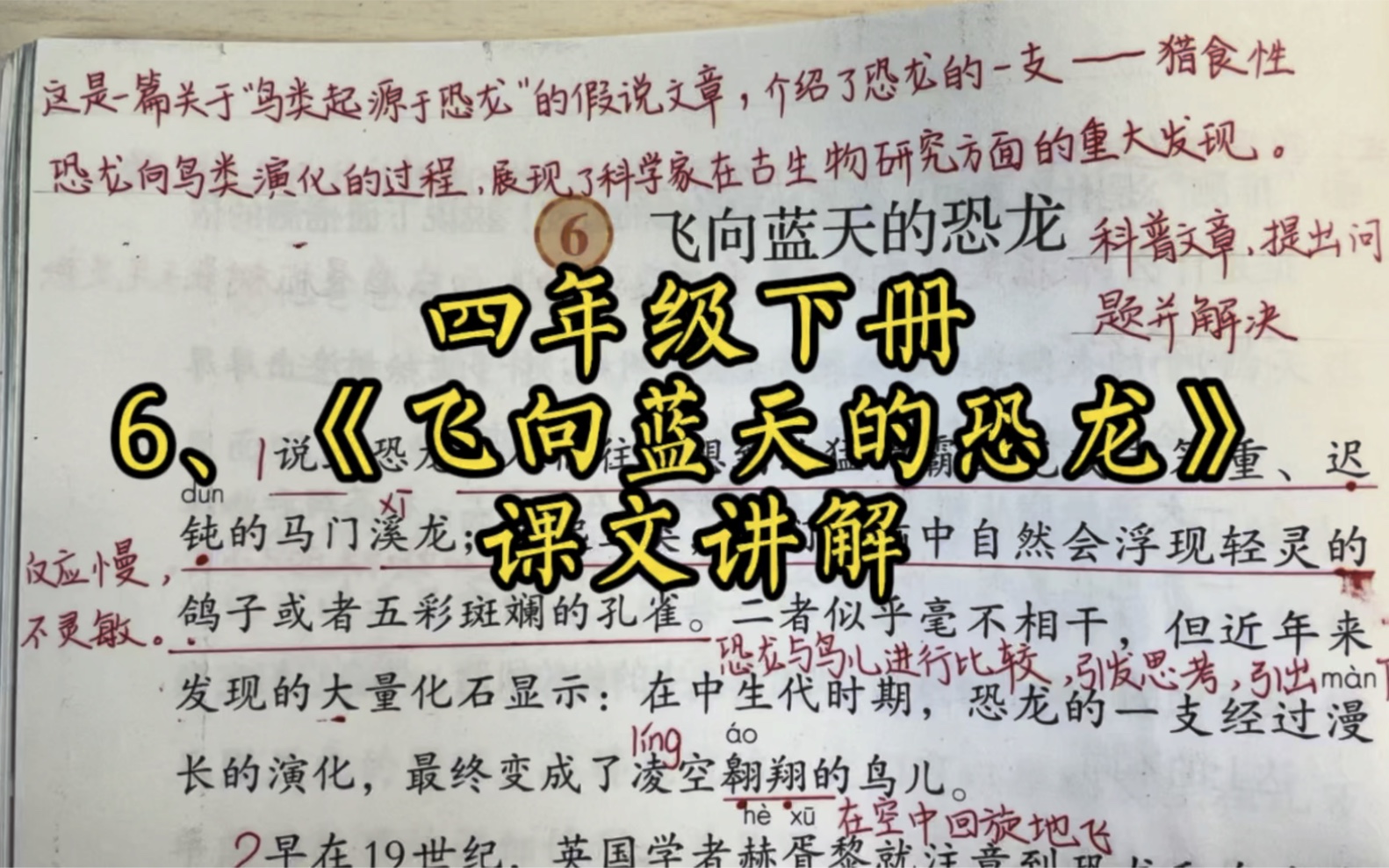 [图]6、《飞向蓝天的恐龙》课文讲解