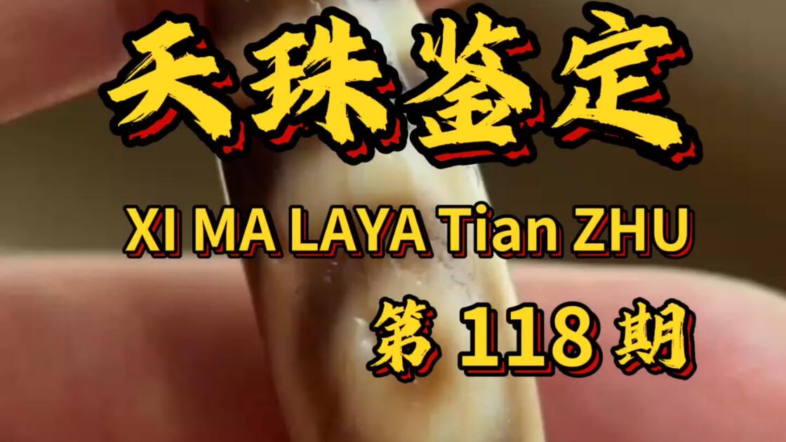 怎么分辨天珠的真假？新手该怎么选天珠？什么样的天珠不能戴#天珠#台珠