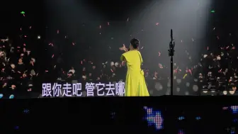 Download Video: 我们没有在一起（live）-刘若英2024飞行日无锡站