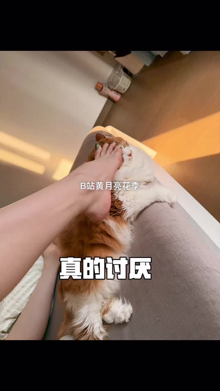 小猫13斤，那我多大脚