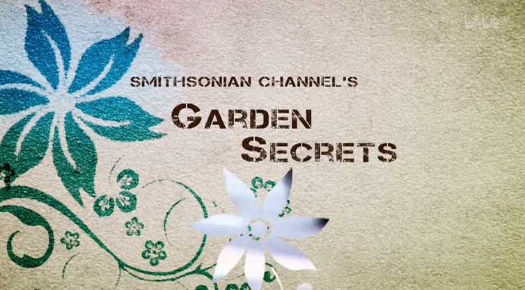 【纪录片】史密森尼之花园的秘密Smithsonian Garden Secrets哔哩哔哩bilibili