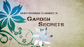 纪录片 灰色花园双语字幕grey Gardens 1975 哔哩哔哩 つロ干杯 Bilibili