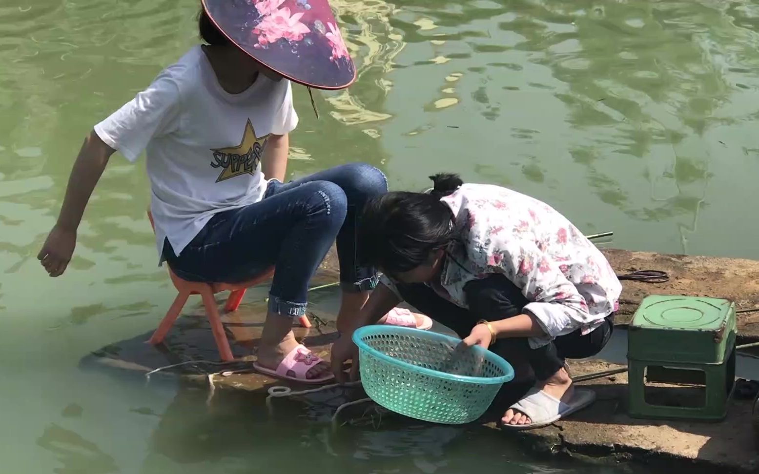 门口池塘龙虾真多,姑嫂二人用鸡肠钓龙虾,一会时间就钓了好几斤