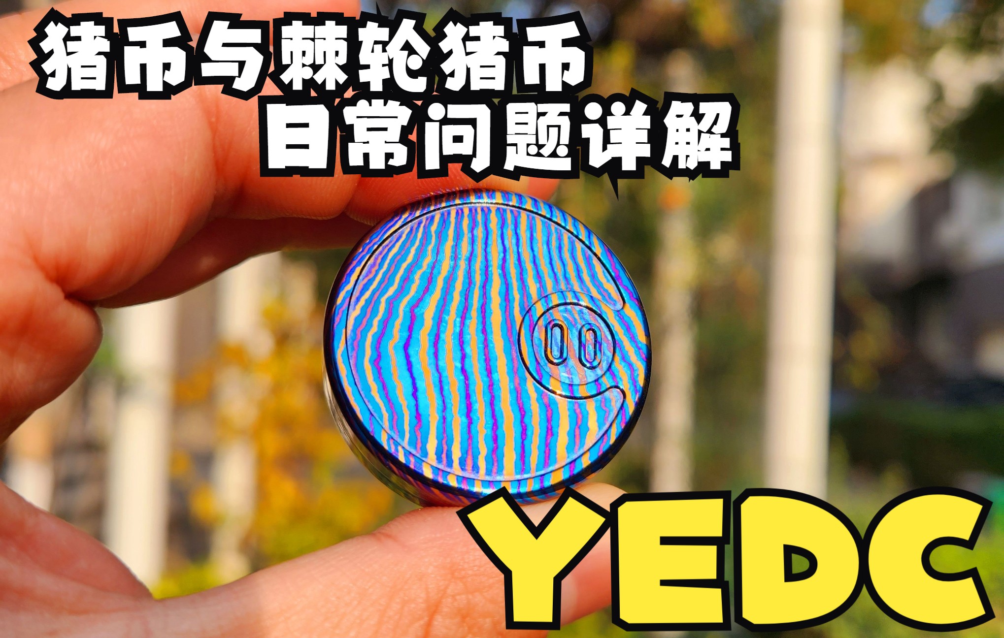 【YEDC】棘轮币的究极形态 猪币与棘轮猪币的问题讲解哔哩哔哩bilibili