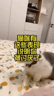 下载视频: 猫咪有这些表现，说明你被讨厌了