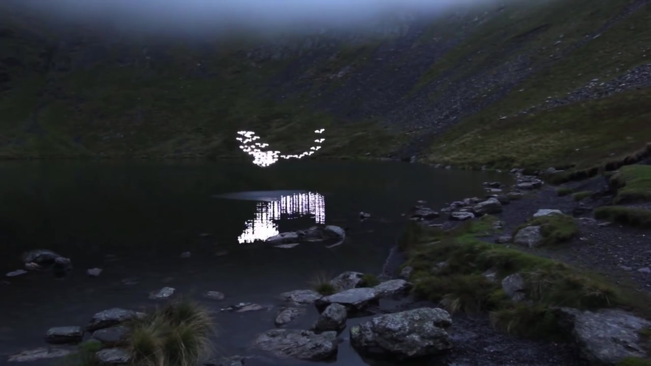 [图]Marconi Union - Weightless (失重)