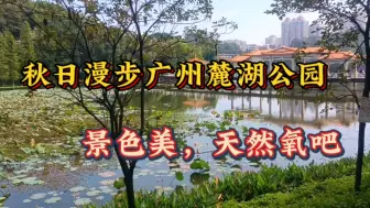 Video herunterladen: 漫步麓湖公园：发现城市中的宝藏