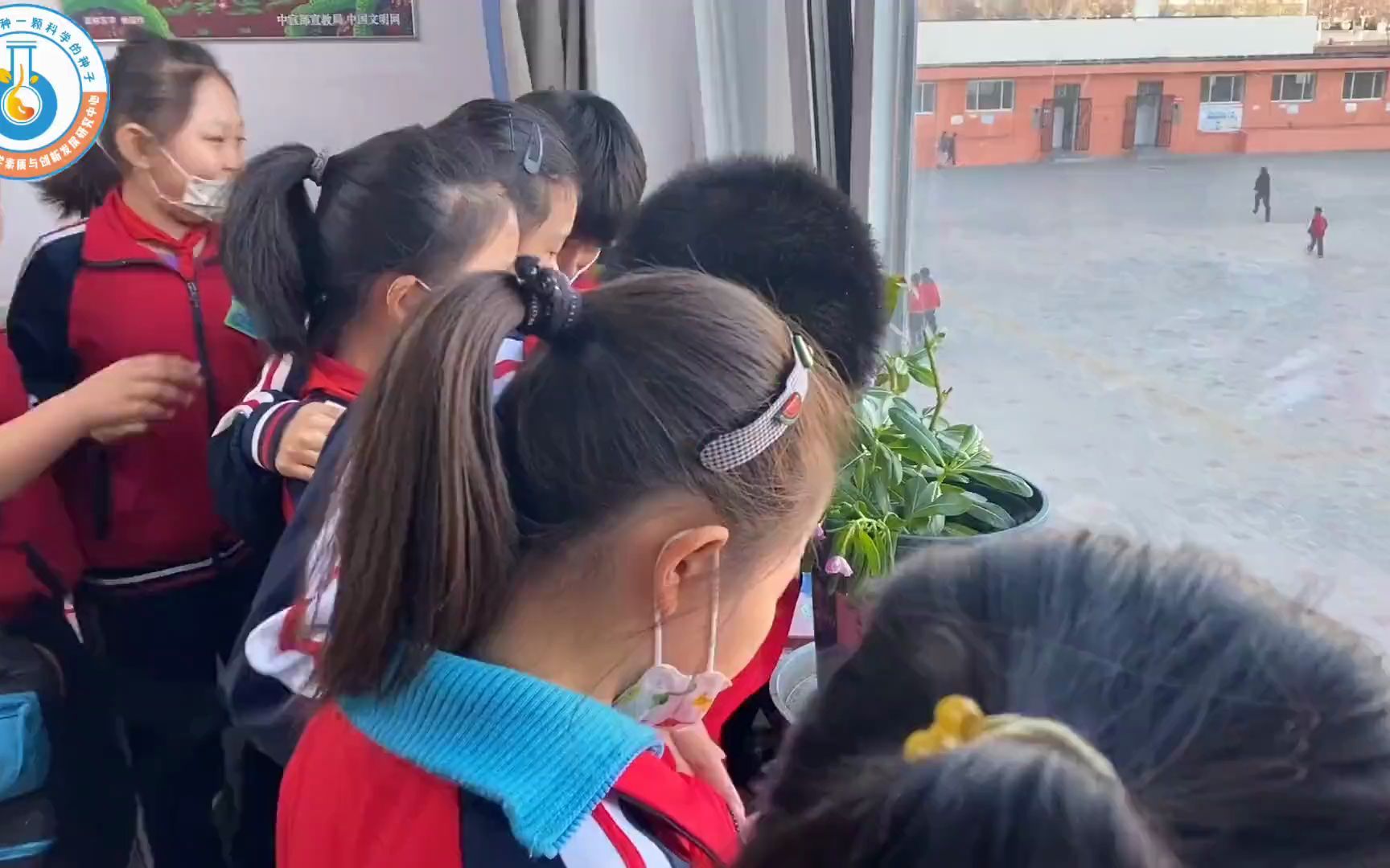 武清区杨村第七小学科学实验进课堂