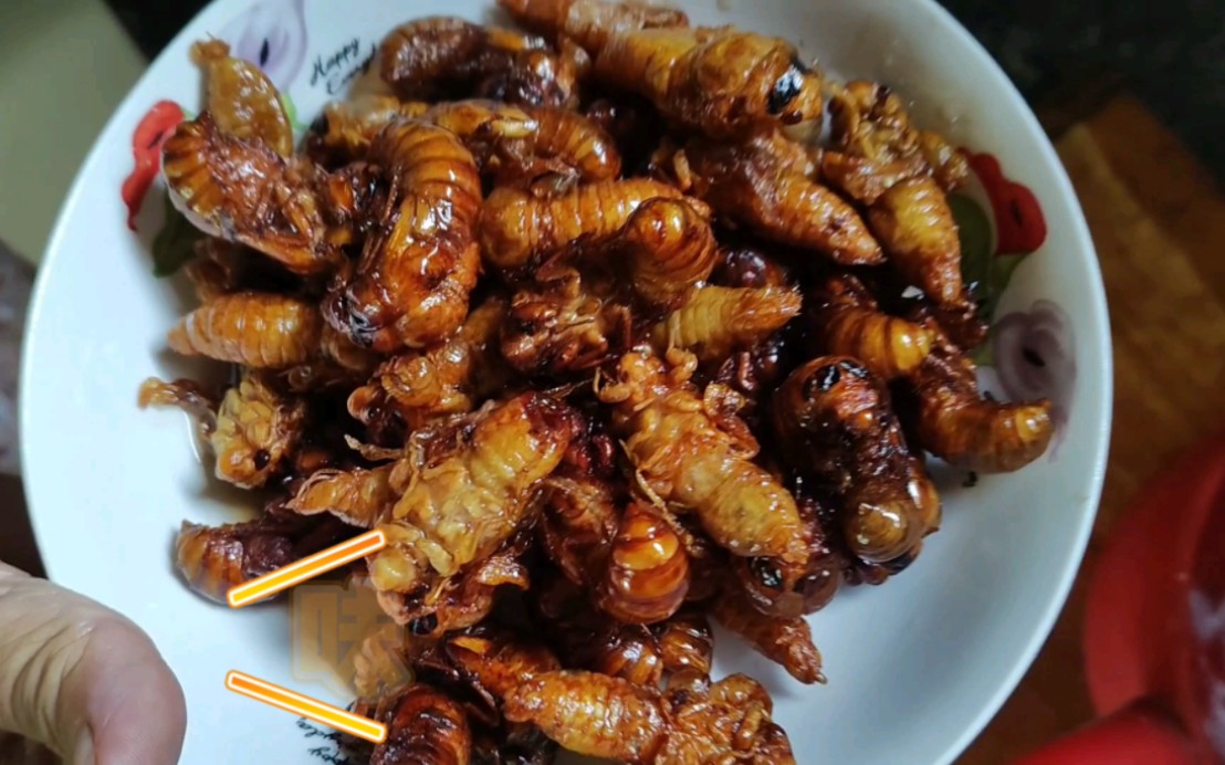 油炸知了猴(节流鬼)!