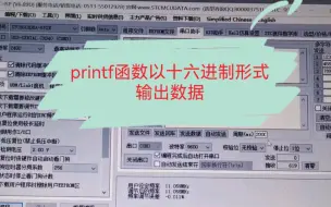 printf函数以十六进制形式输出数据