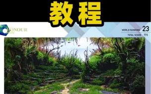 Download Video: 女造景师的参赛水草缸，保姆及制作教程，2022年ADA   IAPLC第23名，峡谷题材的草缸造景