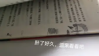 翻页动画，肝了好久进来看看吧，播放量破30就行