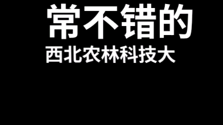 更容易上岸的985/211之西北农林科技大学哔哩哔哩bilibili