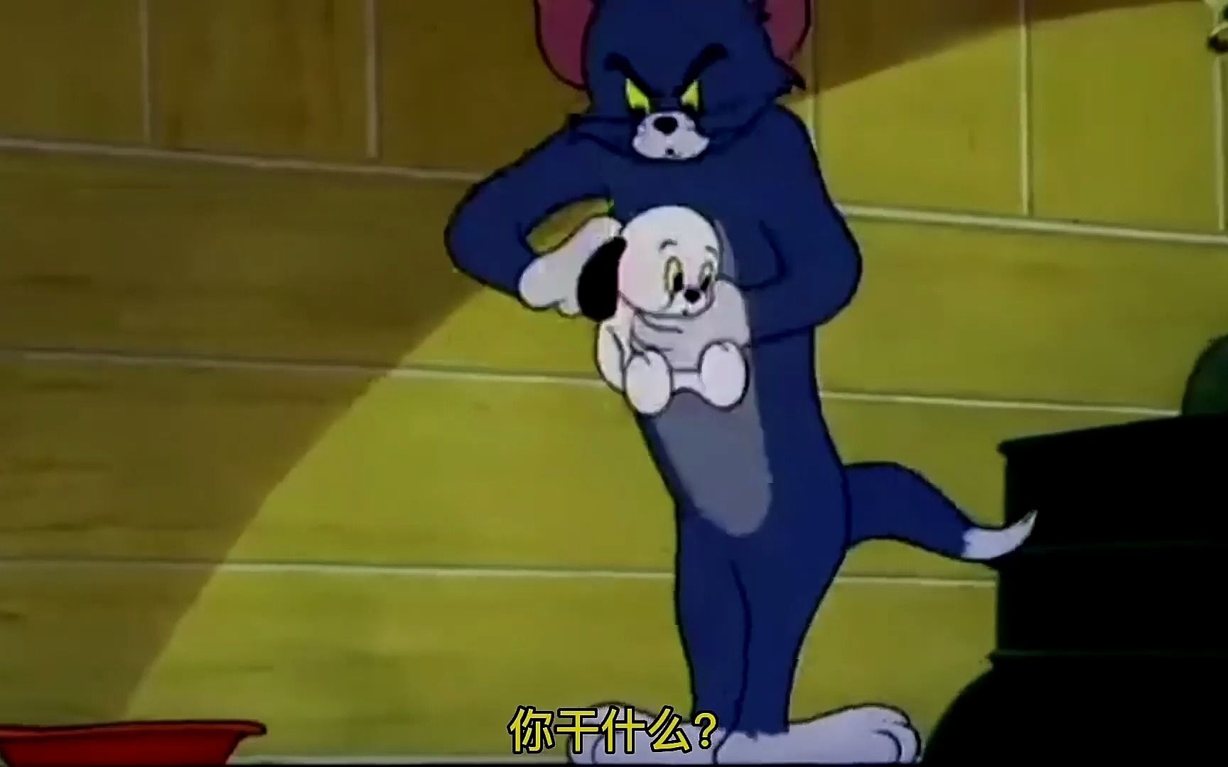 1 猫和老鼠 嚣张狗狗,居然敢和汤姆抢被子.