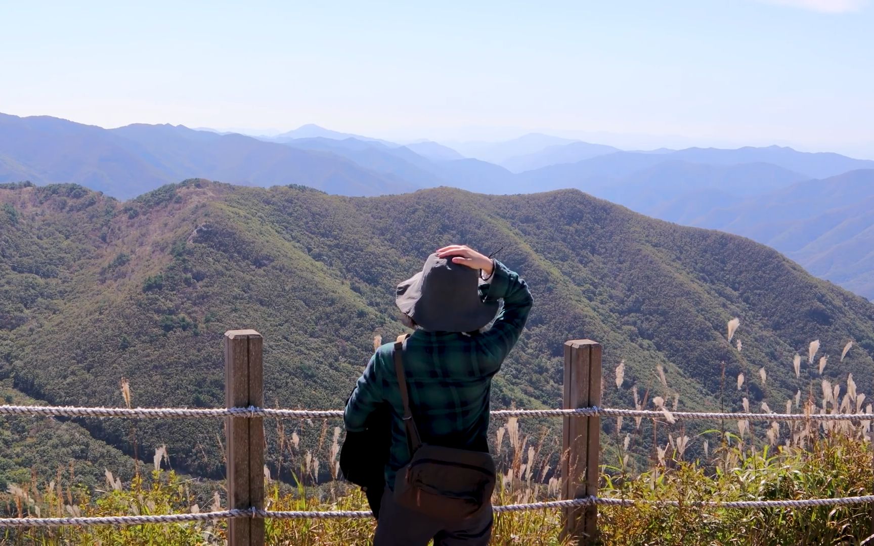 风景美得像电影中的地方露营 女子单人露营 [今天的樹林]