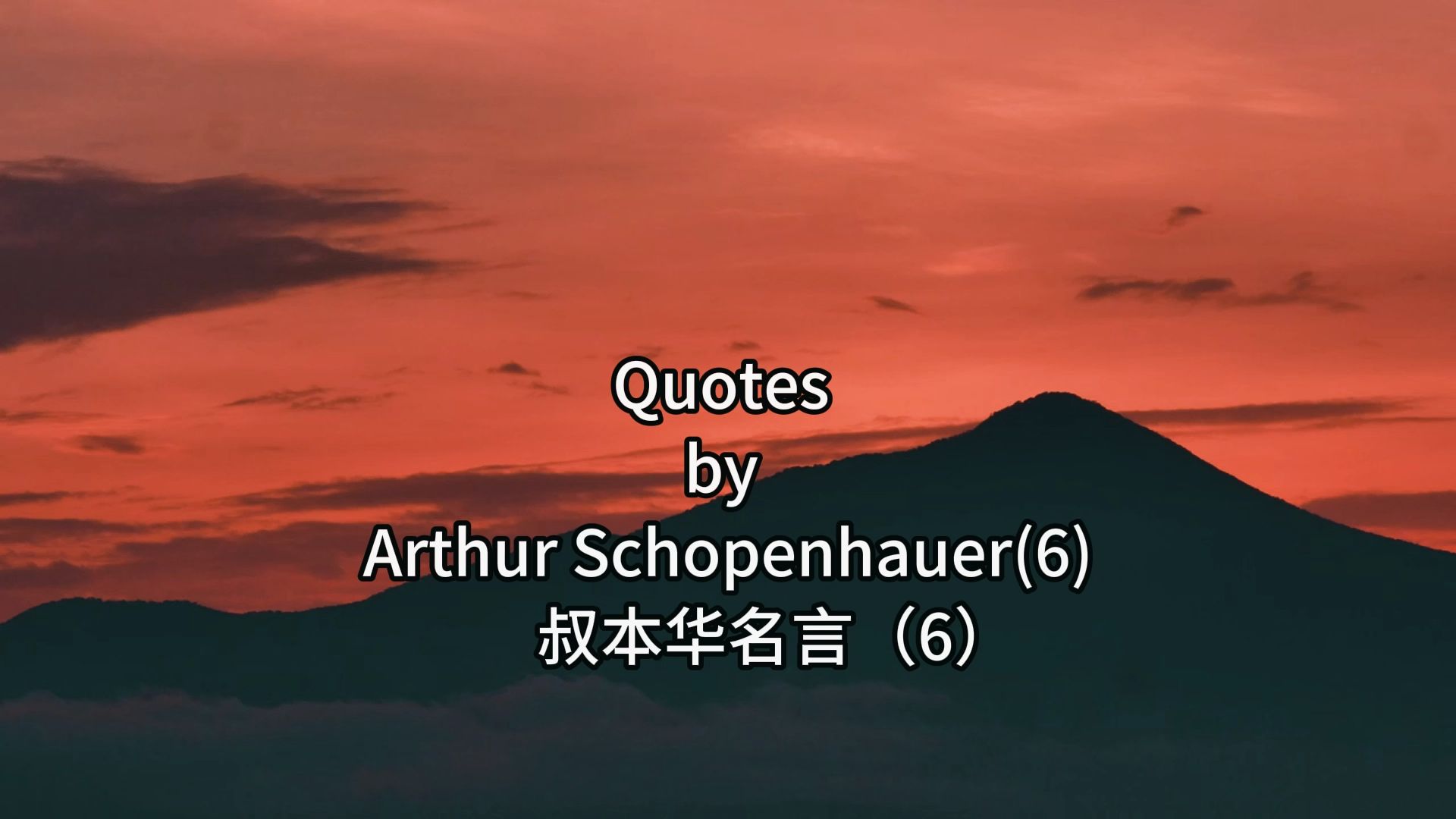 Quotes by Schopenhauer(6)哔哩哔哩bilibili