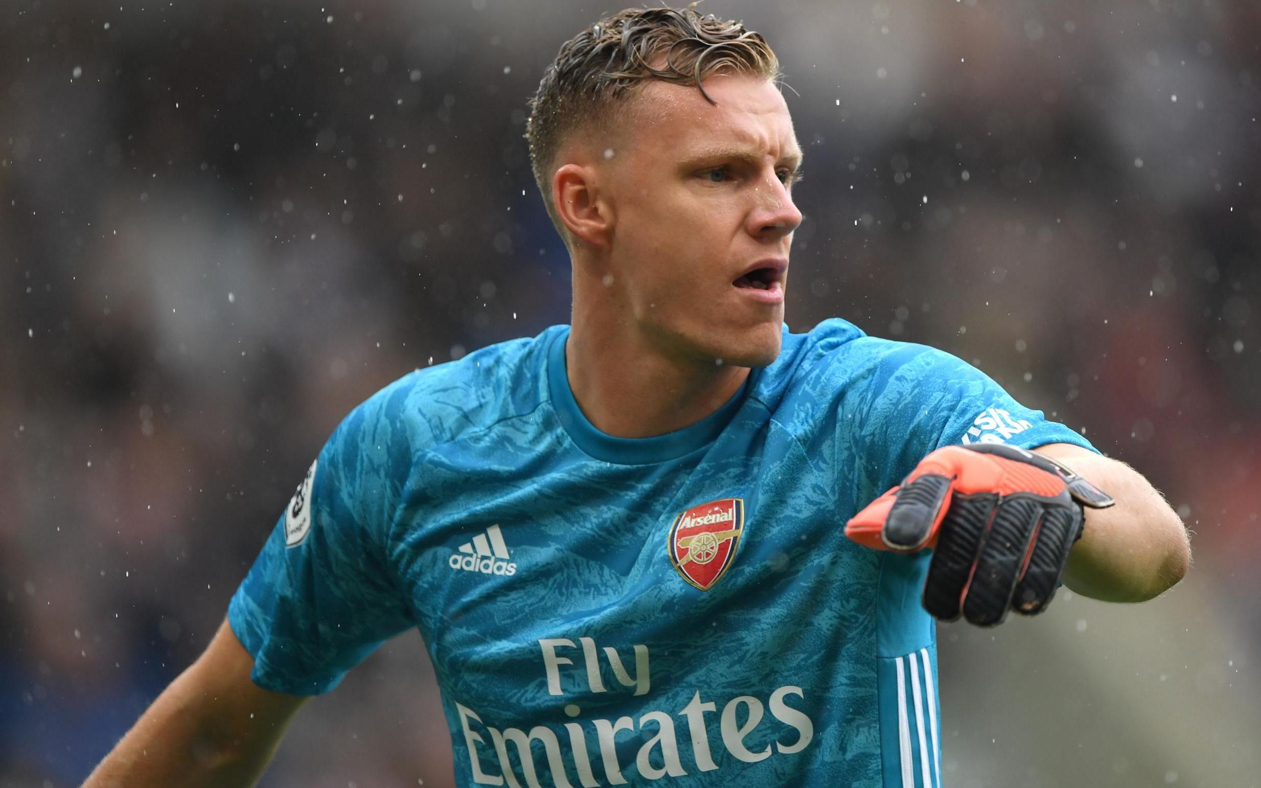  集锦>阿森纳门神莱诺那些疯狂不可思议的扑救_哔哩哔哩 (゜-゜)つロ