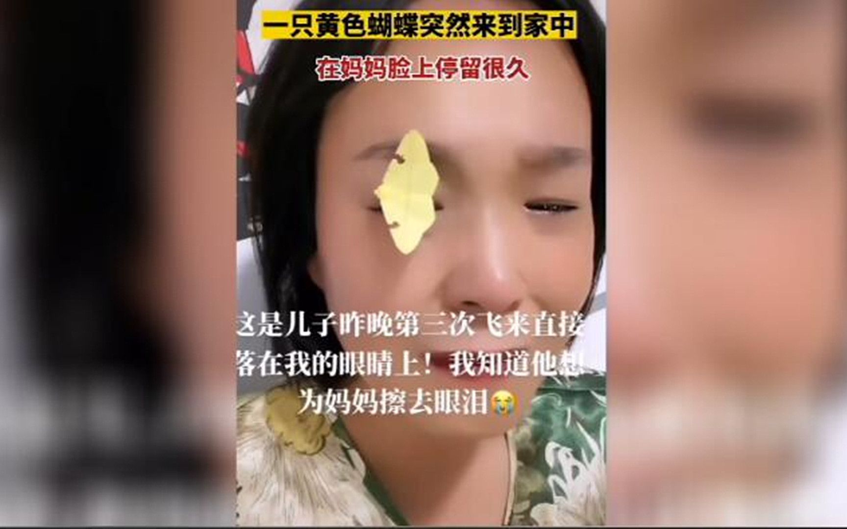 [图]泪崩！西安一妈妈思念离世儿子成疾，黄色蝴蝶飞进家门，落在妈妈脸上久久不肯离去