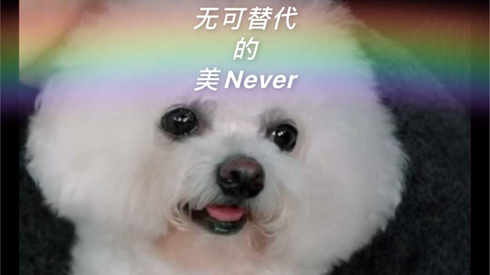 20201024李佳琦直播间小猪猪和never开场