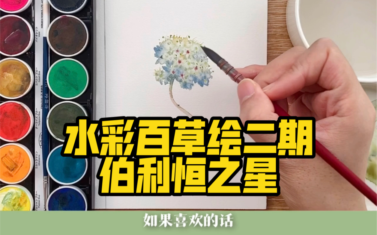 [图]偶像剧般美丽的花名｜伯利恒之星水彩花卉插画脱稿水彩教程竹羽堂1018#1[话题]#；遵爵纯棉300g细纹；）慢速有解说版本上传至水彩百草绘二期课程中