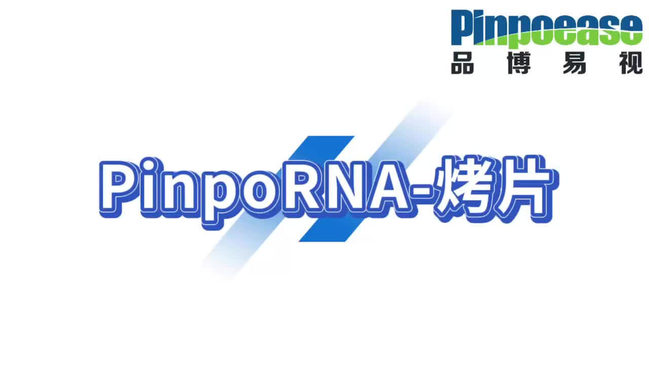 PinpoRNA实验步骤:PinpoRNA烤片哔哩哔哩bilibili