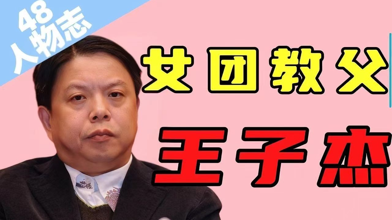 【王子杰的三十年2】SNH渐至巅峰,和AKB48分家。综艺影视男团多方探前路。-南柯十七梦-南柯十七梦-哔哩哔哩视频